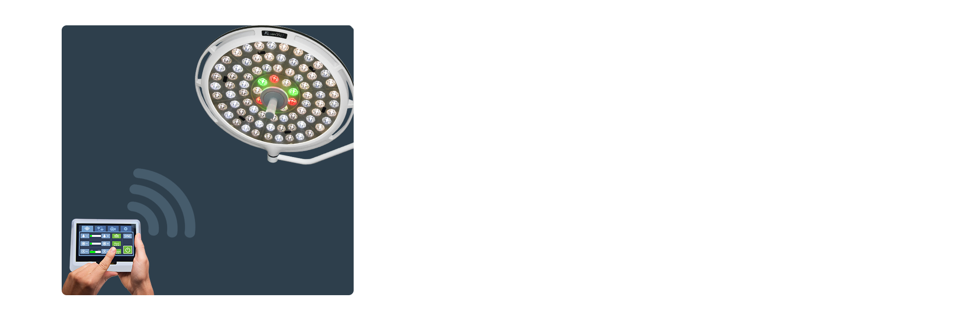 Handheld wireless remote controller