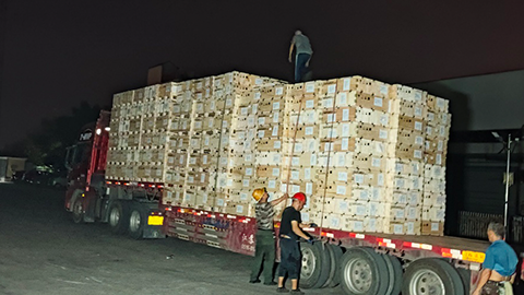 All staff collaborate to handle orders.