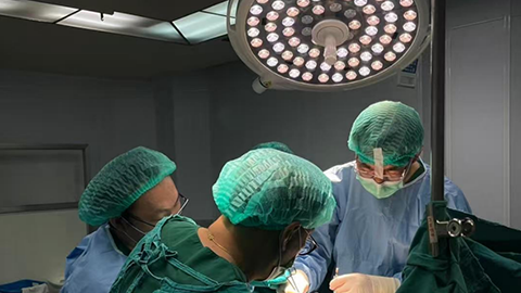 Under the shadowless surgical lamp: The "artificial sun" that illuminates the miracle of life